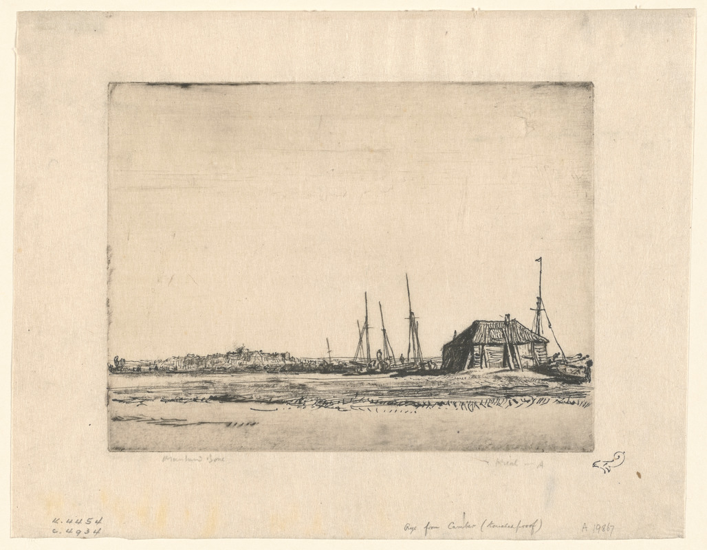 Rye from Camber