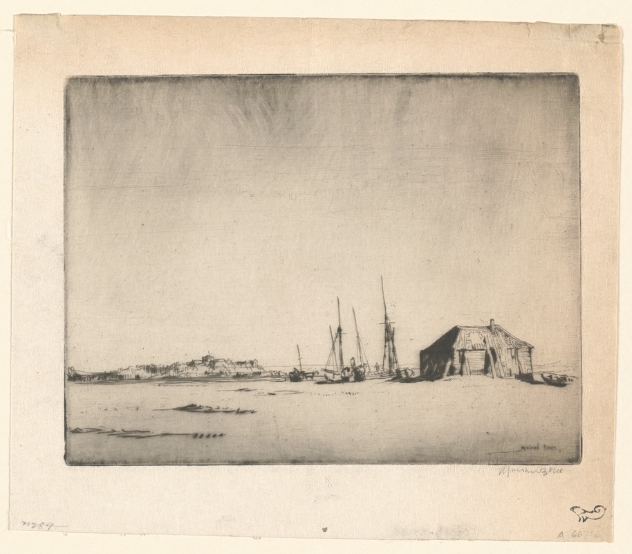 Rye from Camber