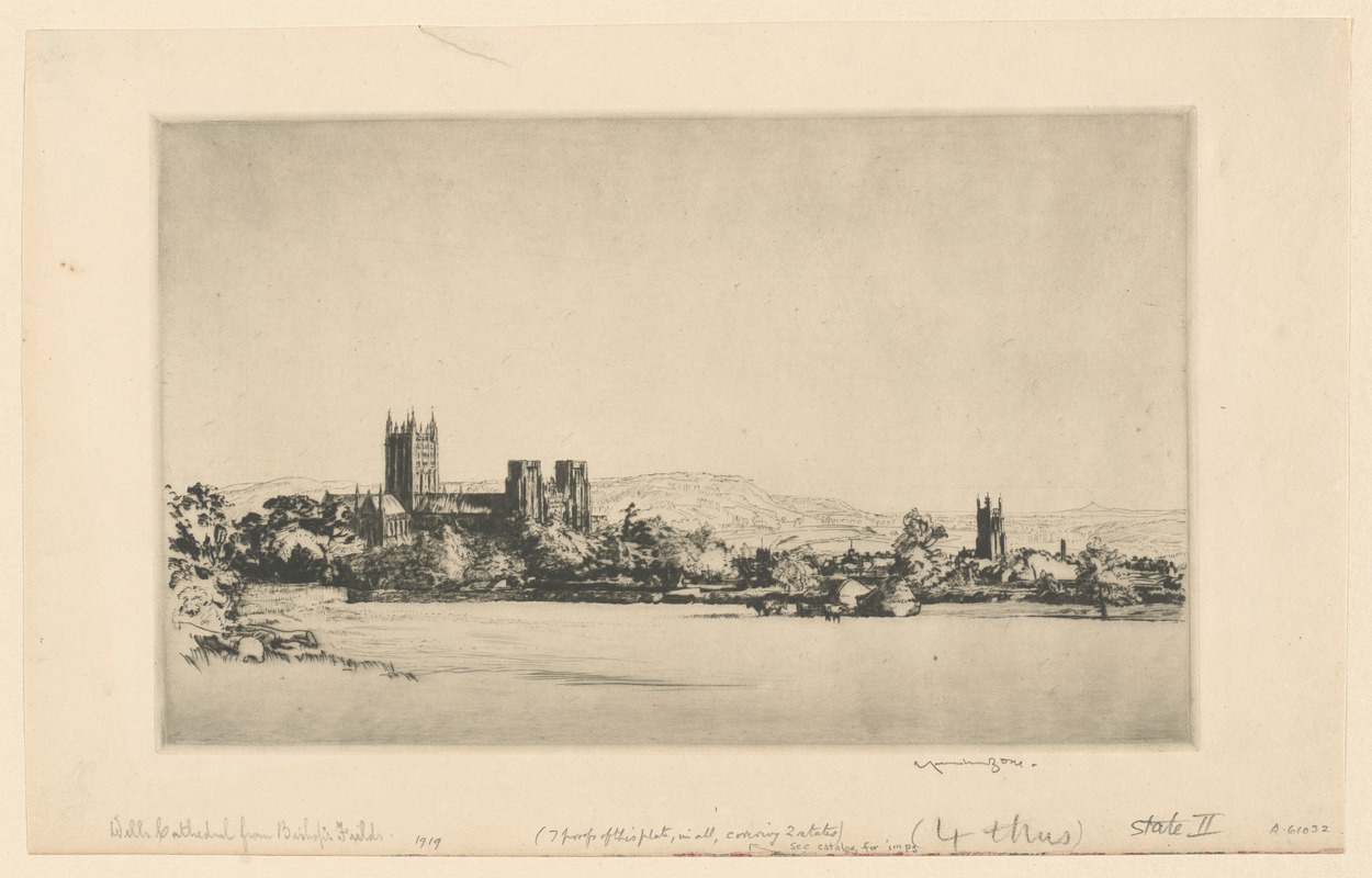 Wells Cathedral, from Bishop's Fields