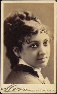 Palledino