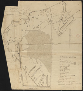 Plan of Tisbury made by Thomas Dunham, dated April 1831