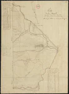 Plan of Russell, surveyor's name not given, dated June 1831