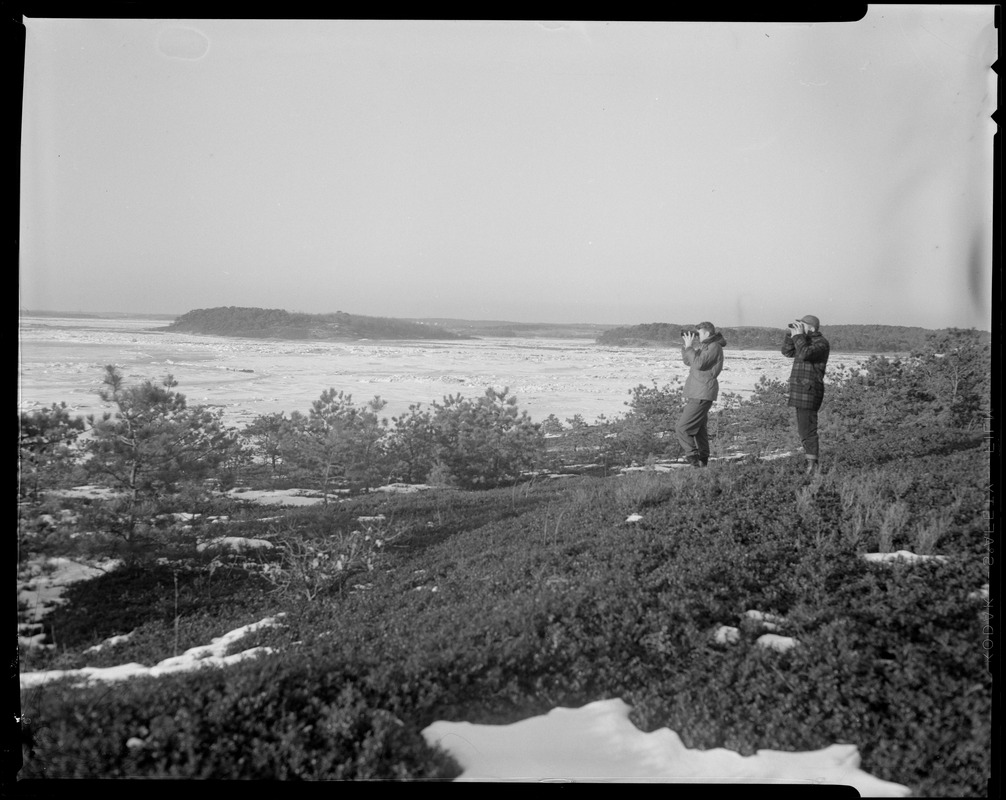 Mass. Audubon Society, South Wellfleet Sanctuary Digital Commonwealth