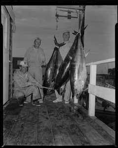 E. Roscoe Allen, Fair Haven NJ, with 4 tuna, total 386 lbs. at Barnstable Capt. Joe Eldridge