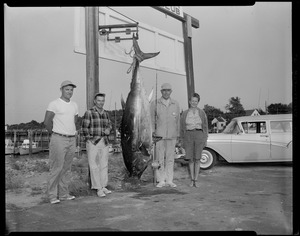 Mr. and Mrs. E. Roscoe Allen et al, 416 pound tuna at Barnstable