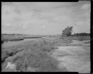 Marsh scene