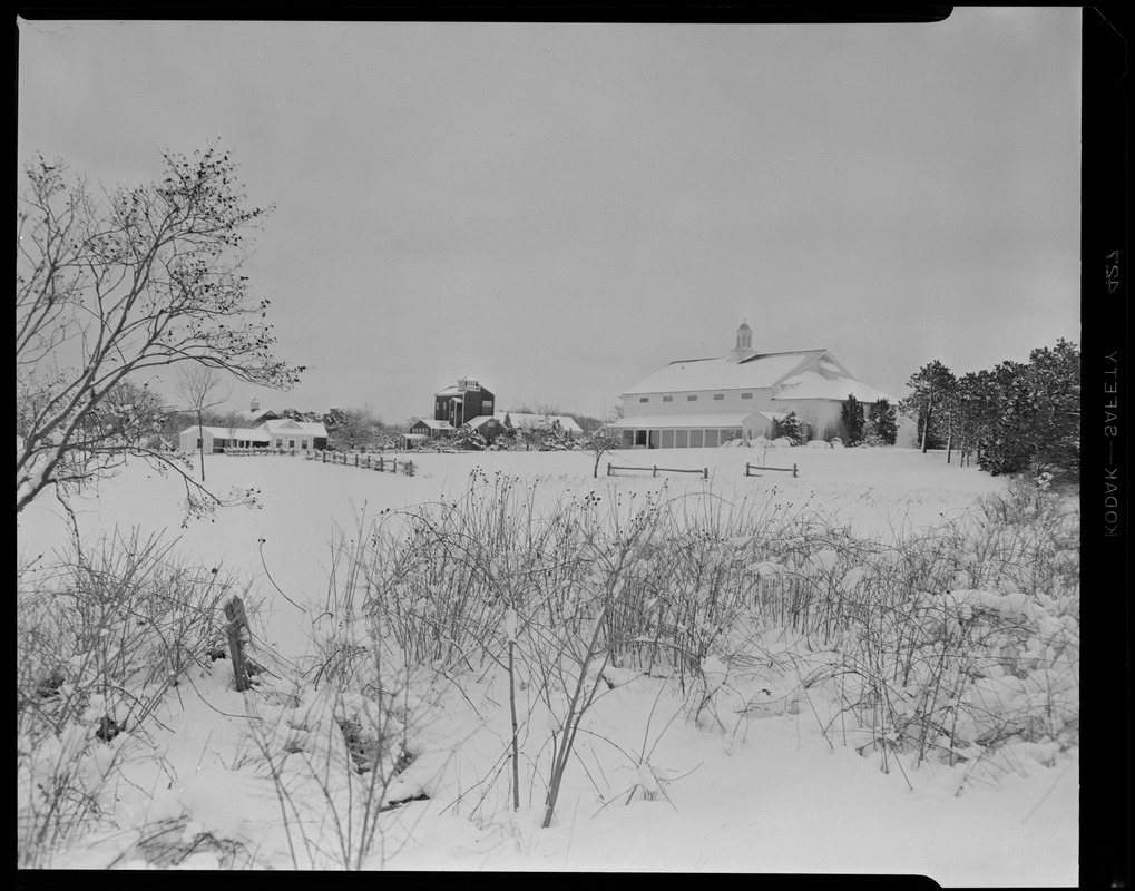 Cape Cod Center for the Arts Campus, Dennis, Snow Scene