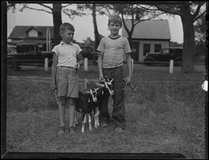 Two unidentified boys with goats