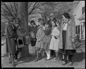 School group maple-sugaring?