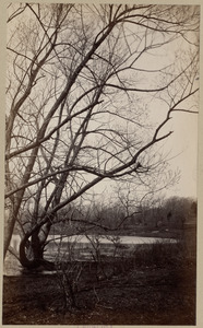 Park. W. Roxbury