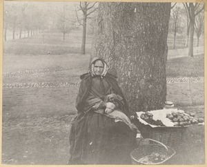 Woman selling apples on the Boston Common