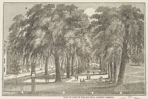 View of part of the old mall (Boston Common)