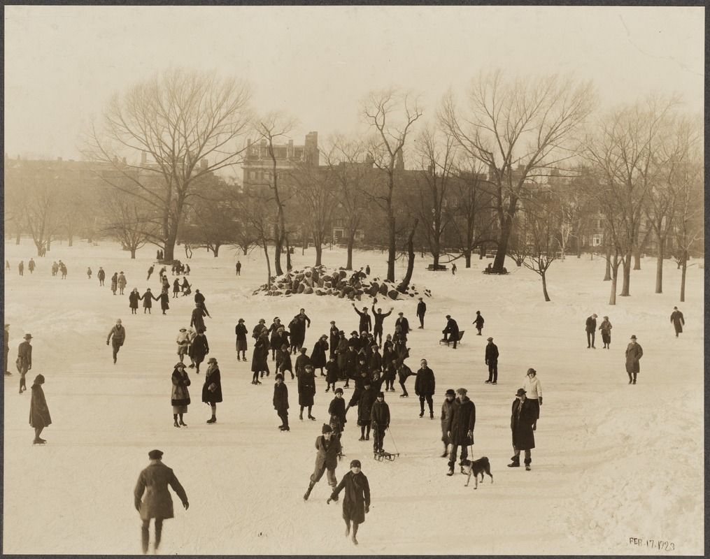 Park department: Public Garden, Boston. Winter sports on pond