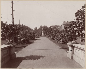 Main walk in Boston Public Garden. Boston, Mass. 1906