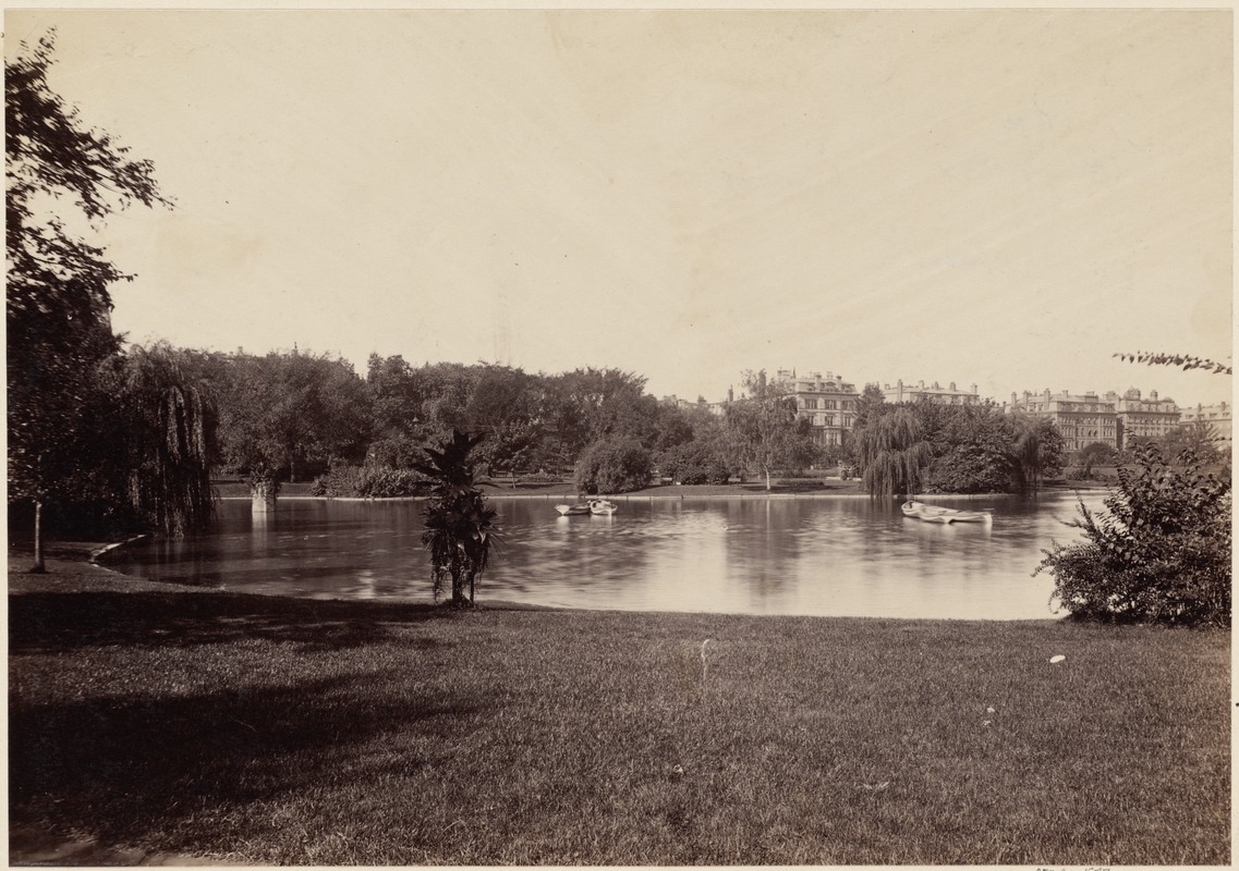 Pond in Public Garden