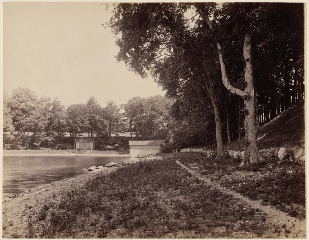 View of Jamaica Pond, 1894