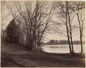 Pine bank, Robert Morse estate, Jamaica Pond. In winter, 1894