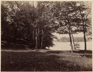 Olmstead Park. Jamaica Pond. Morse estate, 1894, summer
