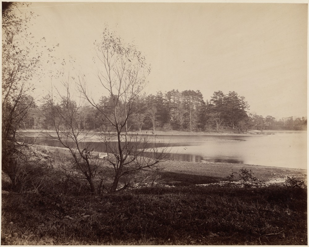 View of Jamaica Pond, 1894