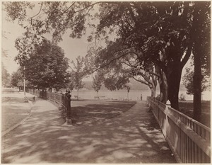 View of Jamaica Pond, from Pond Street, 1894