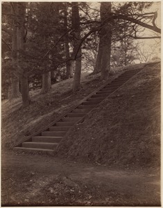 Old Hancock House steps, Perkins estate, Jamaica Pond, 1894
