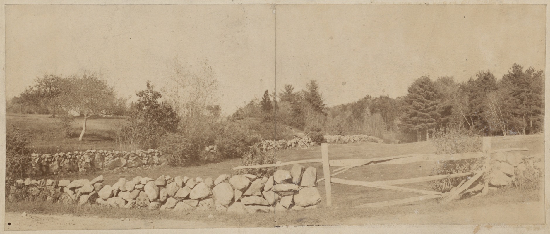 Parks: View of stone wall and fence in Arnold Arboretum, Jamaica Plain