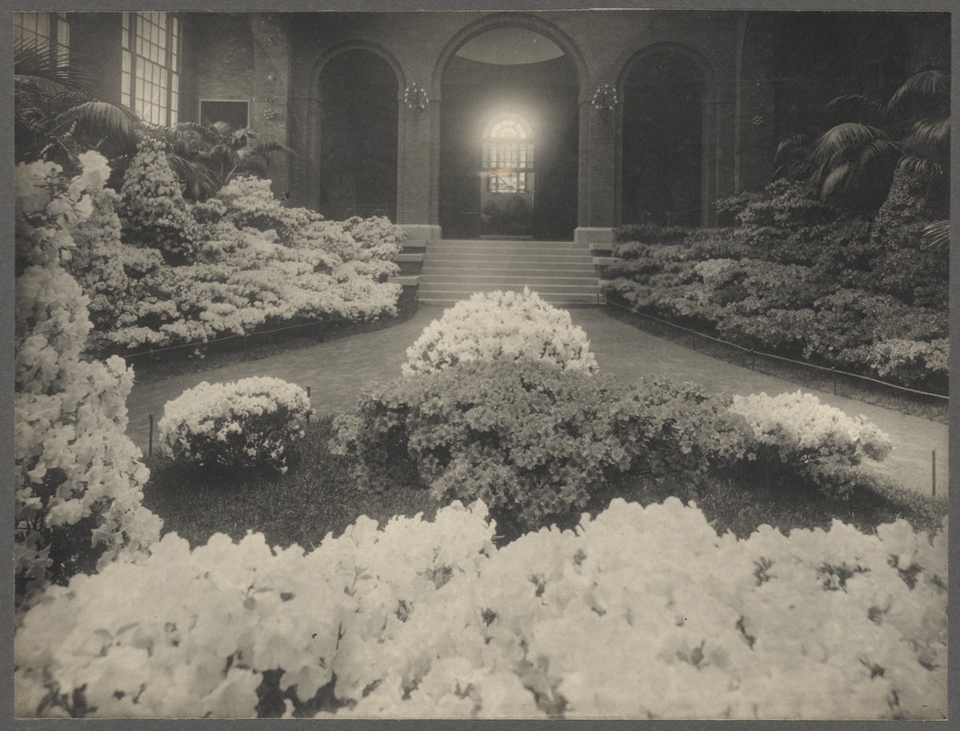 Horticultural Hall. First exhibition, June 1901