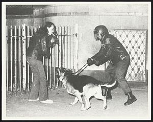 Police dog asks a student in Hemingway St. to go home