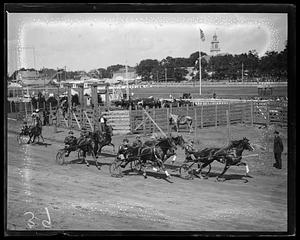 Harness racing