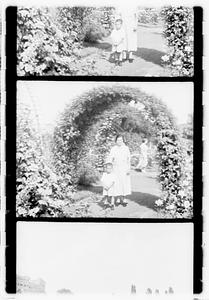 Unidentified boy and woman, rose garden, Boston