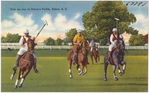 Polo on one of Aiken's fields, Aiken, S. C.