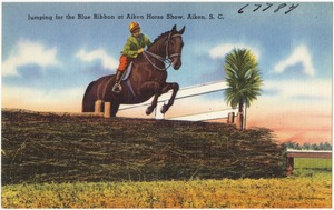 Jumping for the Blue Ribbon at Aiken Horse Show, Aiken, S. C.