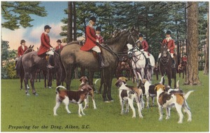 Preparing for the Drag, Aiken, S. C.