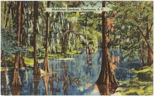 Middleton Gardens, Charleston, S. C.