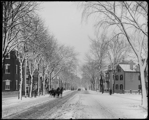 Salem, Lafayette Street south from engine house, views, after storm 1891