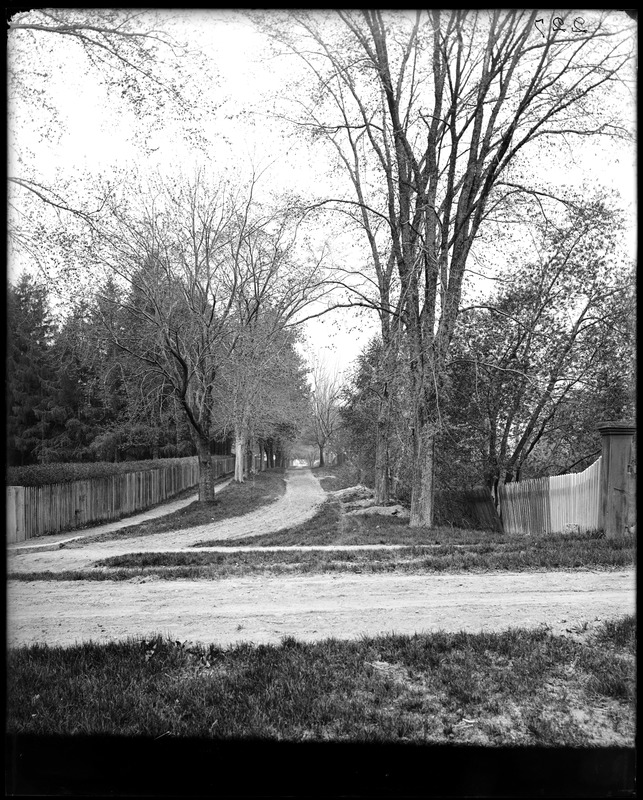 Salem, Felt Street at the foot of Dearborn Street, views