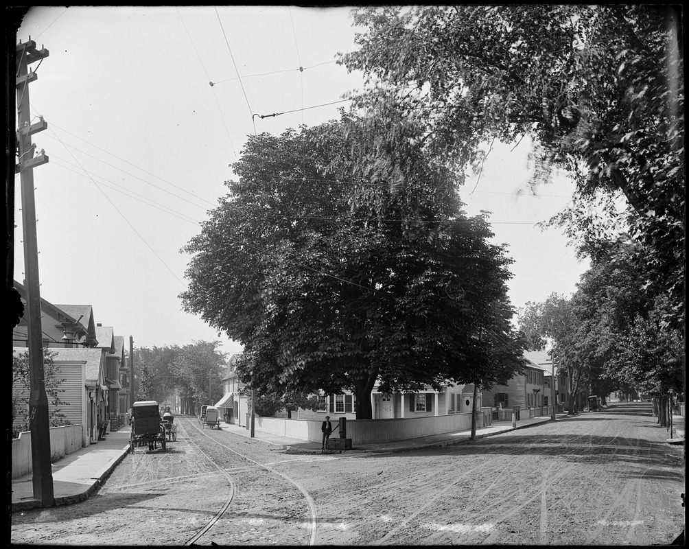 Salem, chestnut tree at the corner of Bridge and Pleasant Street and town pump standing 1891, views