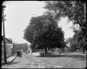 Salem, chestnut tree at the corner of Bridge and Pleasant Street and town pump standing 1891, views