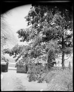 Salem, School Street, views, snow scene, 1891