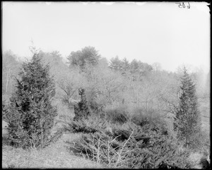 Danvers, site of Israel Putnam log cabin