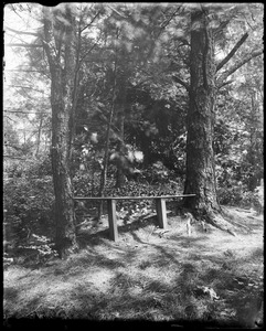 Concord, Lexington Road, views, Lothrop seat at rear of "Wayside"