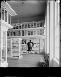Salem, 161 Essex Street, interior of Peabody Museum