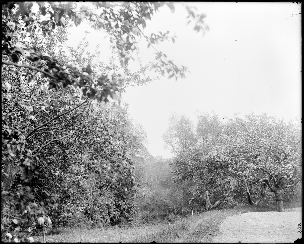 Swampscott Road, views Digital Commonwealth