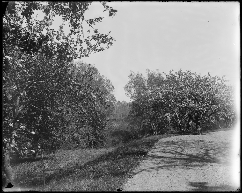 Swampscott Road, views Digital Commonwealth