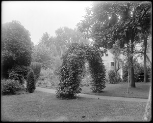 Salem, 365 Essex Street, views, garden of Joseph Cabot house