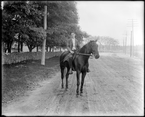 Unknown, rider on horse by roadside