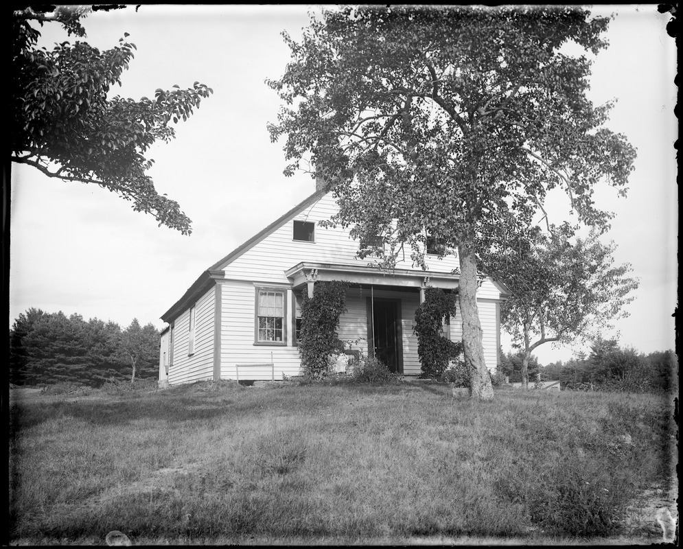 Unknown, house with foliage