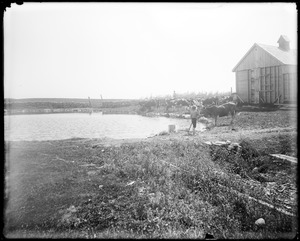 Salem, Baker's Island, views, pond