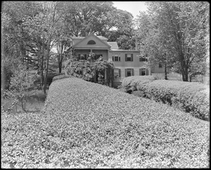 Salem, 40 Dearborn Street, views, buckthorn hedge, John Bertram garden