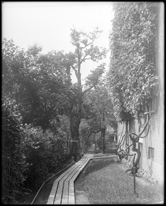 Salem, 31 Chestnut Street, views, garden, J.F. Allen estate